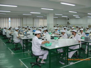 驗貨公司驗廠服務 為制造業保駕護航的全面解析